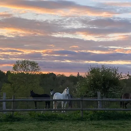Le Refuge En Bois Nuit Insolite En Pleine Nature *