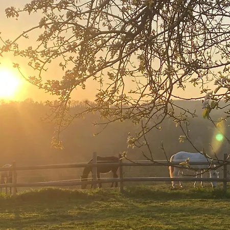 אוהל מפואר Le Refuge En Bois Nuit Insolite En Pleine Nature Glanville
