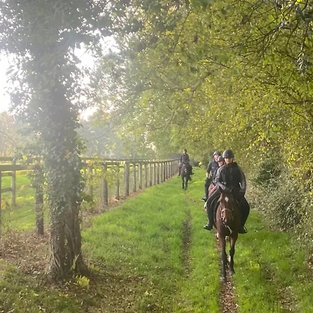 Le Refuge En Bois Nuit Insolite En Pleine Nature * Glanville