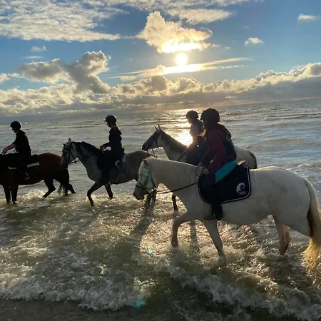 Le Refuge En Bois Nuit Insolite En Pleine Nature *