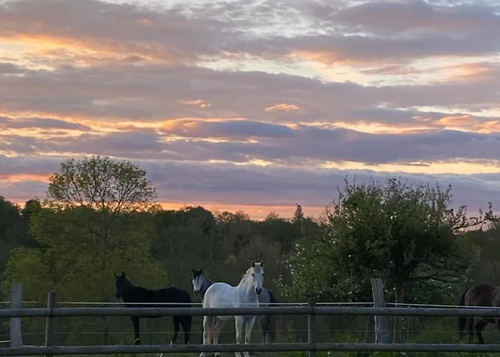 Le Refuge En Bois Nuit Insolite En Pleine Nature *
