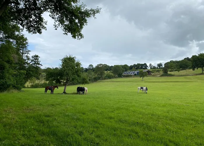 אוהל מפואר Le Refuge En Bois Nuit Insolite En Pleine Nature
