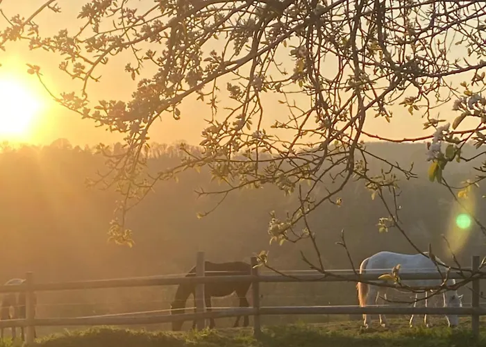 אוהל מפואר Le Refuge En Bois Nuit Insolite En Pleine Nature Glanville