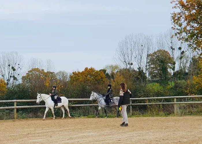 Le Refuge En Bois Nuit Insolite En Pleine Nature