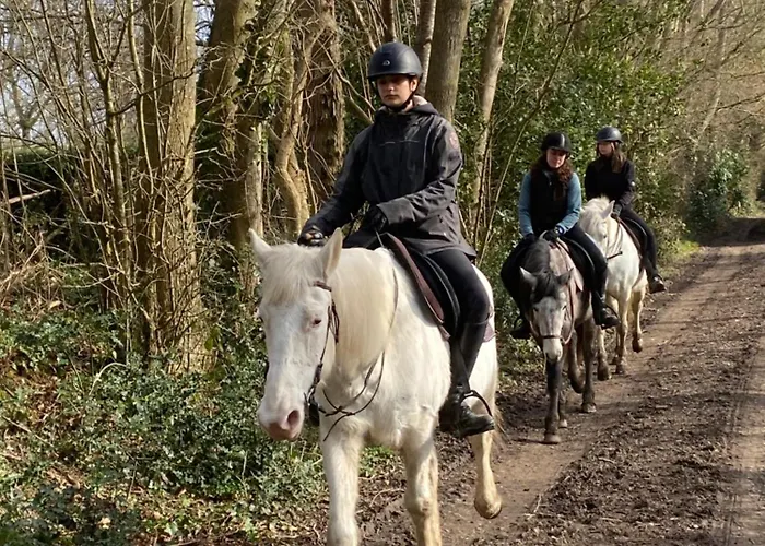 Le Refuge En Bois Nuit Insolite En Pleine Nature