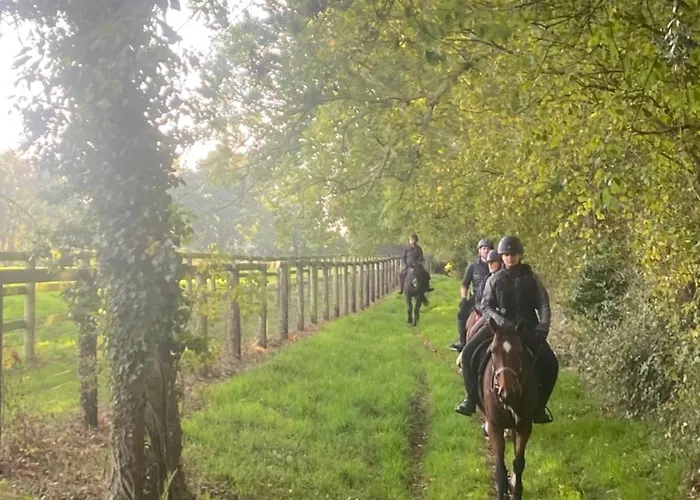 Le Refuge En Bois Nuit Insolite En Pleine Nature * Glanville