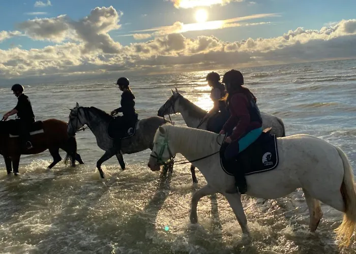 Le Refuge En Bois Nuit Insolite En Pleine Nature *